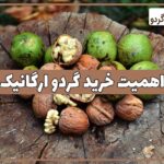 اهمیت خرید گردو ارگانیک از مراغه