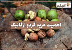 اهمیت خرید گردو ارگانیک از مراغه