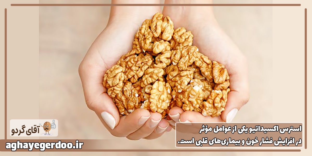 گردو برای فشار خون مفید است