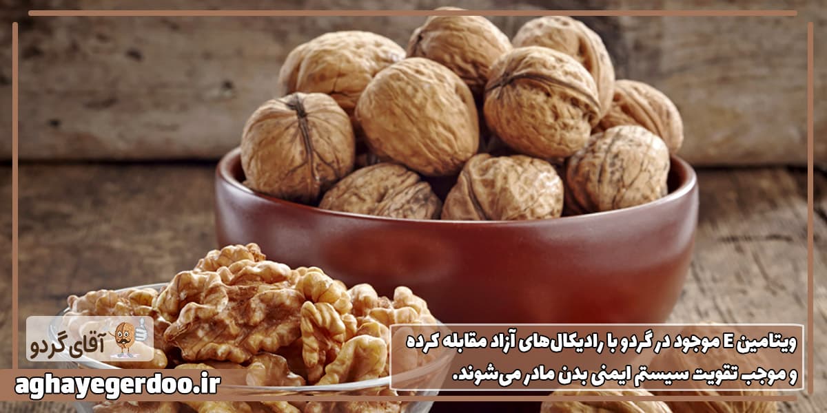 مصرف منظم گردو در بارداری