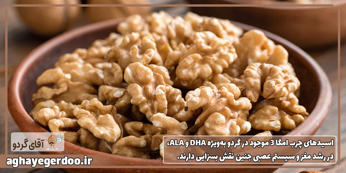 سلامت مادر باردار و جنین