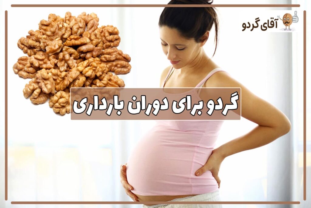 گردو در بارداری