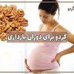 گردو در بارداری