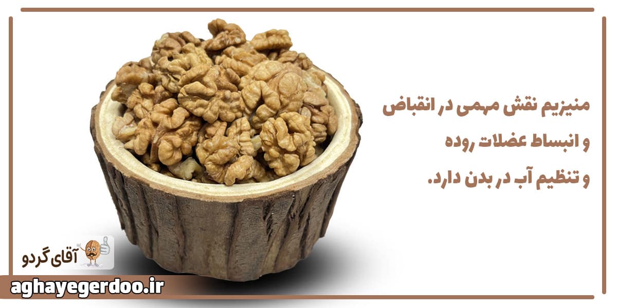 فیبرهای محلول موجود در گردو