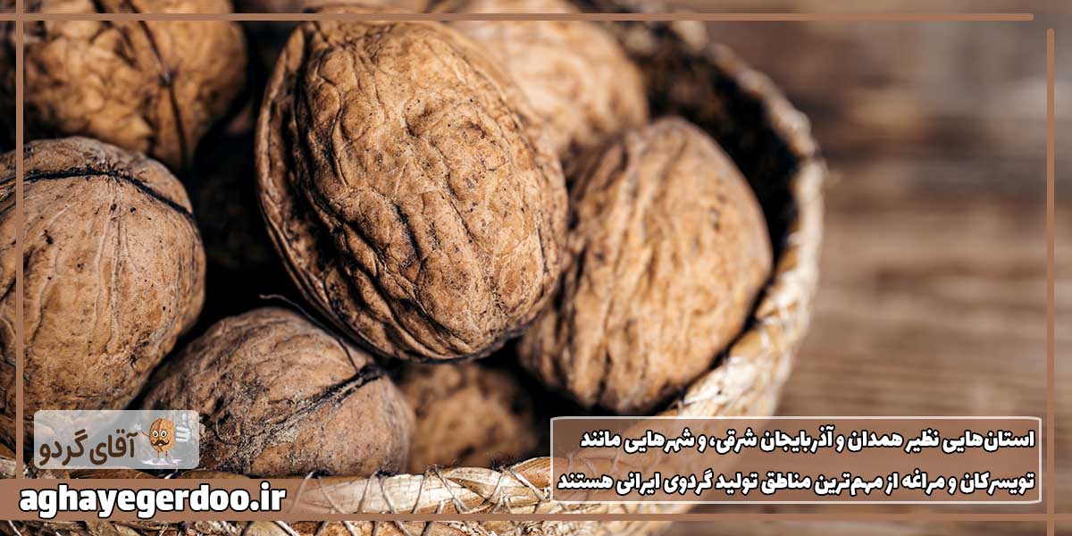 ویژگی های گردوی ایرانی