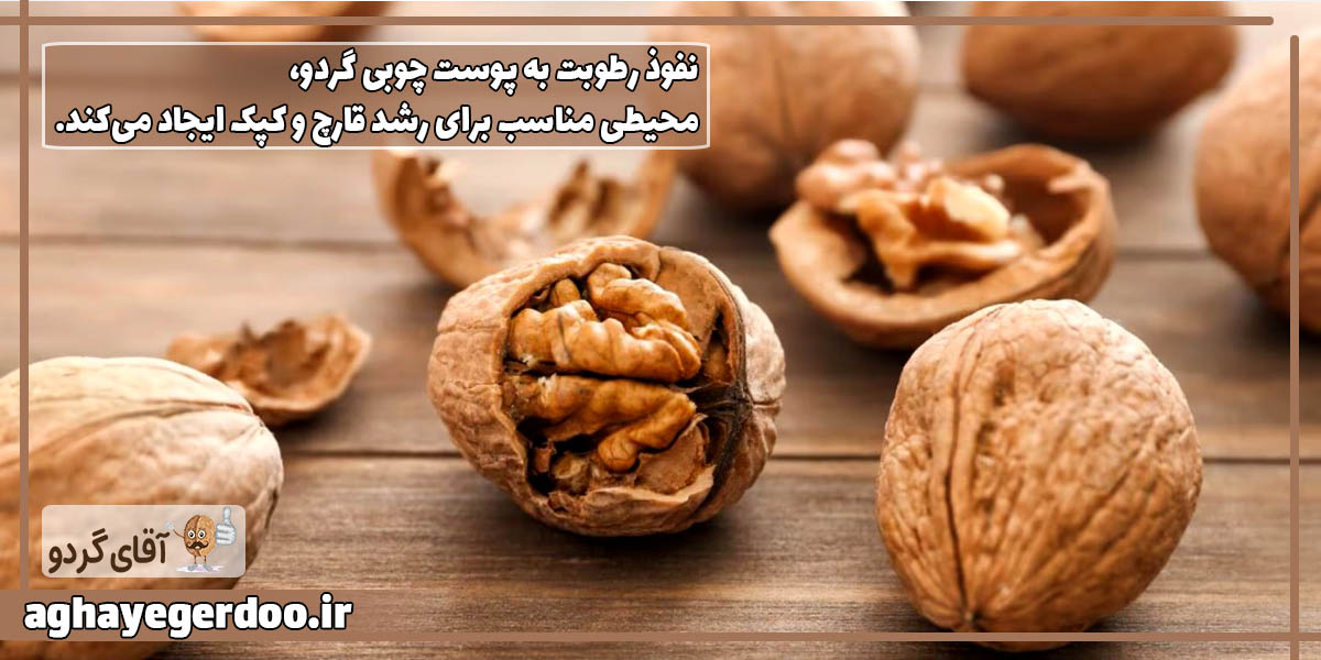 دور نگه داشتن ار رطوبت