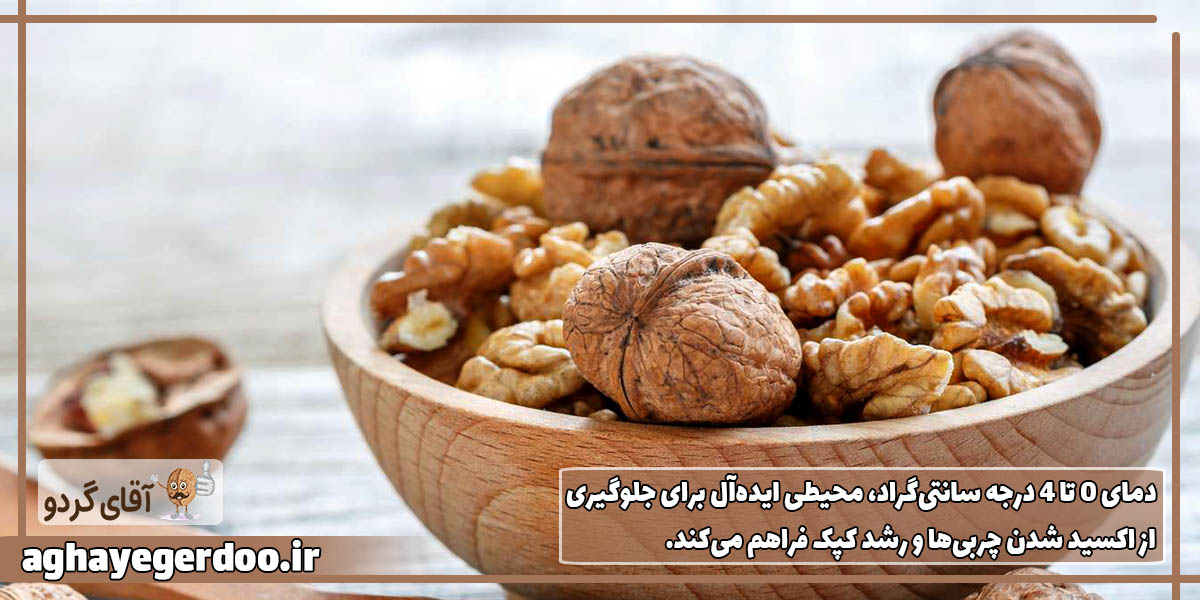 نگهداری گردو با پوست چوبی