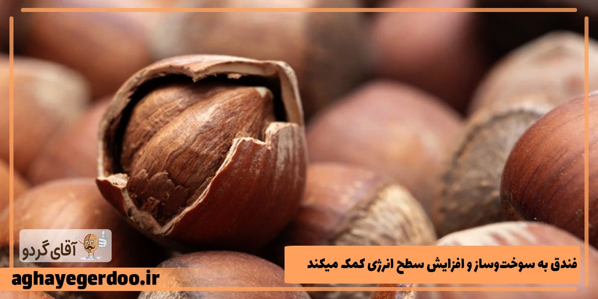 فندق برای تامین انرژی